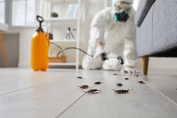 Trusted Cockroach Control service in Bessemer, AL - Nex Pest Control