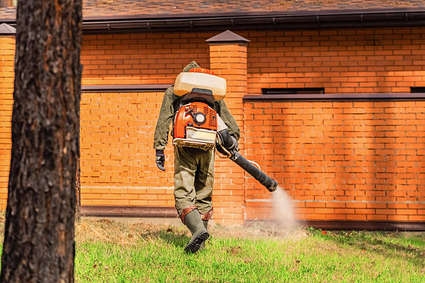 Trusted Mosquito Control service in Bessemer, AL - Nex Pest Control